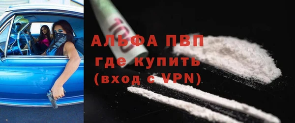 молекула духа Михайлов