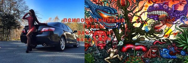 молекула духа Михайлов