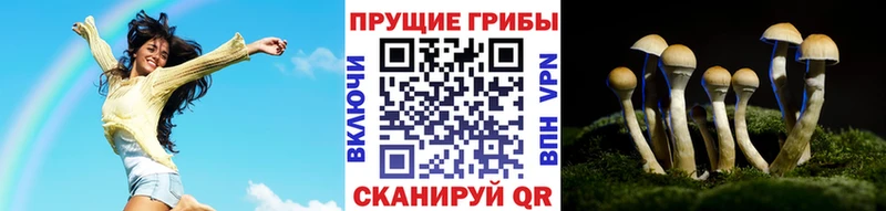 Купить  Андреаполь  Галлюциногенные грибы прущие грибы 